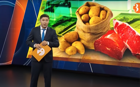 Информбюроның 08.07.2025 күнгі толық шығарылымы