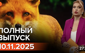 Полный выпуск Информбюро за 10.11.2025